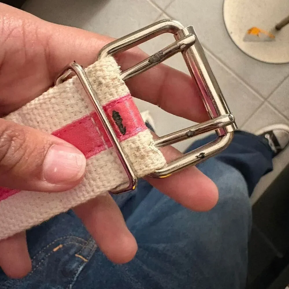 Hollister-co Women's White and Pink Belt